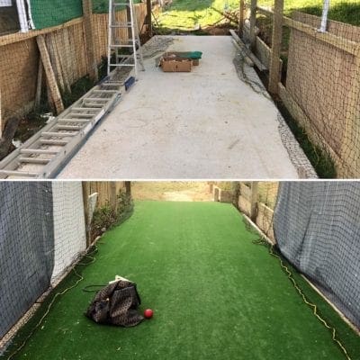 Backyard cricket before and after