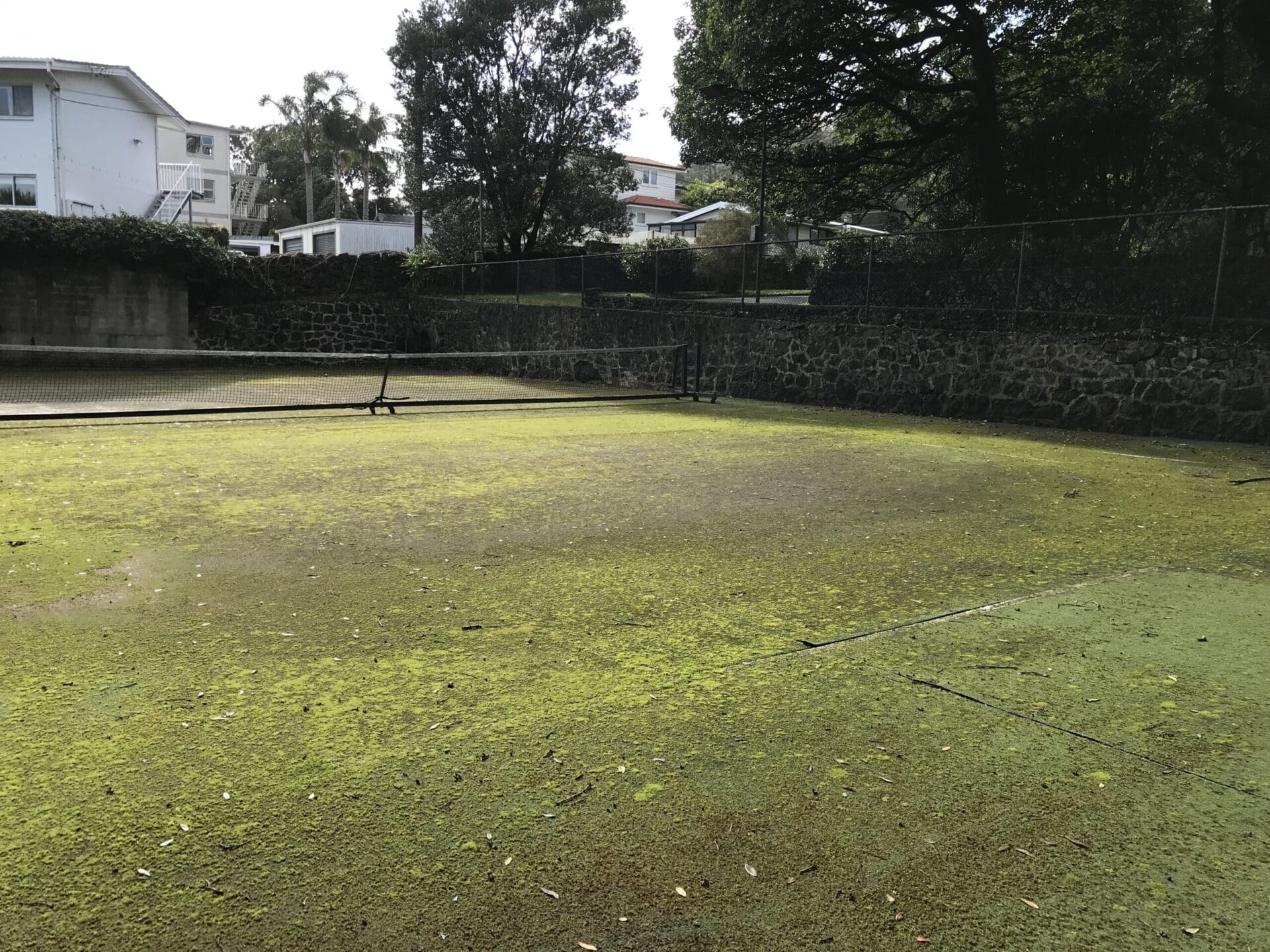 TigerTurf professional services brilliantly revive worn, unusable courts with quality tennis turfs