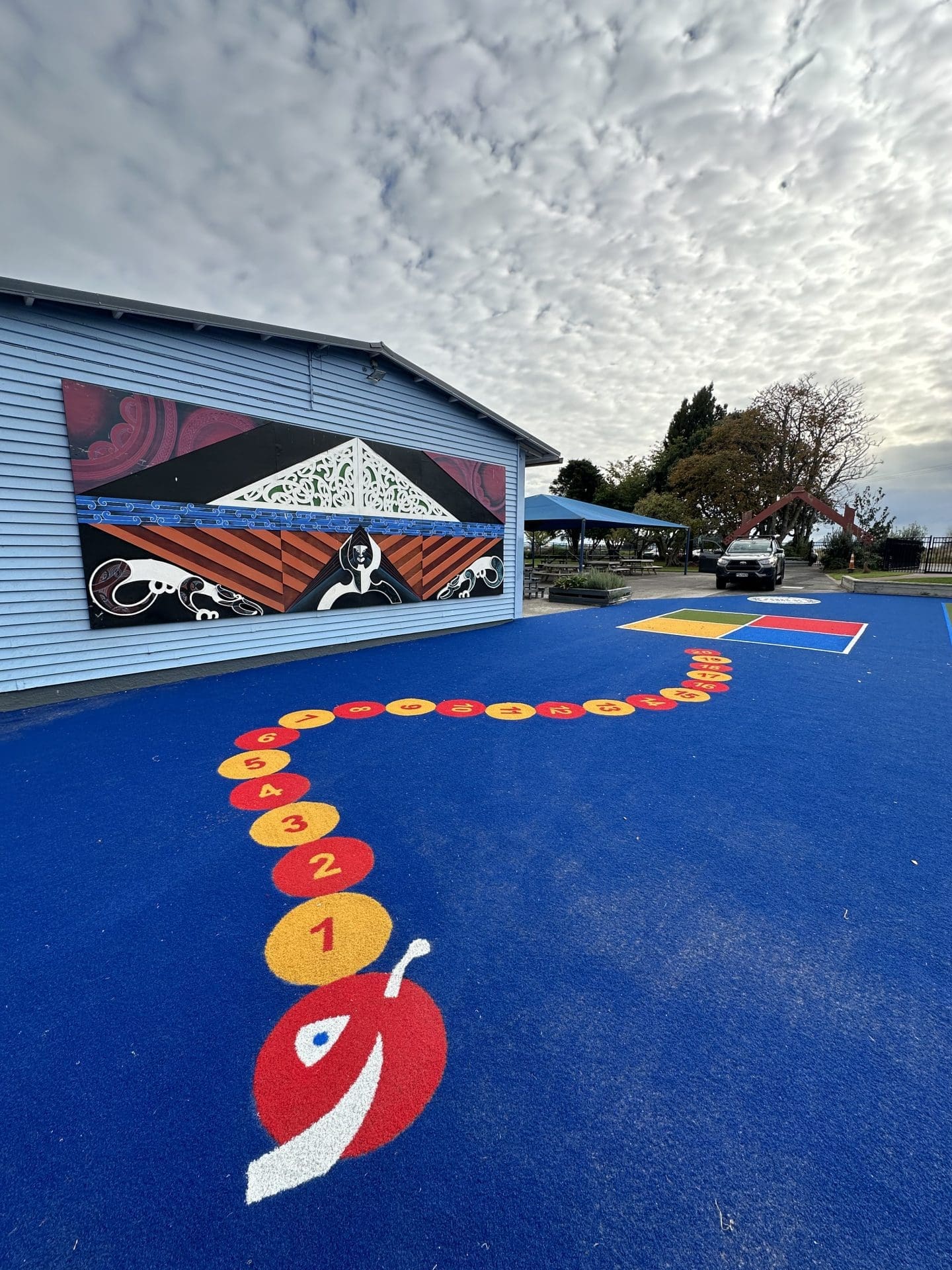 School Turf Transformation